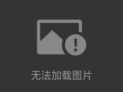 STROMAG-PERIFLEX210R胎式聯(lián)軸器備件